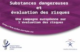 Substances dangereuses et évaluation des risques Une campagne européenne sur lévaluation des risques.