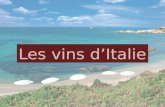 Les vins dItalie. Les principales régions de production.