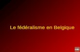 Le fédéralisme en Belgique. Le 04 octobre 1830, la Belgique proclame son indépendance en se détachant du Royaume des Pays-Bas.