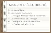 Module 2: L ÉLECTRICITÉ 2. Le magnétisme 3. Les circuits électriques 4. L énergie dans les circuits électriques 5. La conservation de l énergie 6. L énergie.