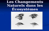 Les Changements Naturels dans les Écosystèmes. Lépinoche, Poisson Marin.