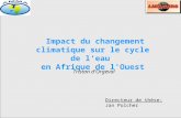 Impact du changement climatique sur le cycle de l'eau en Afrique de l'Ouest Directeur de thèse: Jan Polcher Tristan d'Orgeval.