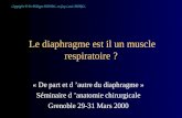Le diaphragme est il un muscle respiratoire ? « De part et d autre du diaphragme » Séminaire d anatomie chirurgicale Grenoble 29-31 Mars 2000 Copyright.
