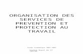 ORGANISATION DES SERVICES DE PREVENTION ET PROTECTION AU TRAVAIL Année académique 2002-2003.