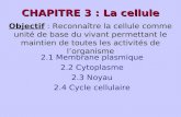 CHAPITRE 3 : La cellule 2.1 Membrane plasmique 2.2 Cytoplasme 2.3 Noyau 2.4 Cycle cellulaire Objectif : Reconnaître la cellule comme unité de base du vivant.