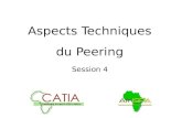 Aspects Techniques du Peering Session 4. Vue d'ensemble Liste de contrôle /conditions préalables pour le Peering Peering pas à pas Arrangements et options.