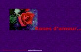 Roses damour… Diaposguyloup©2004 – Tous droits réservés – guyloup@globetrotter.netguyloup@globetrotter.net.