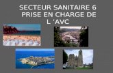 SECTEUR SANITAIRE 6 PRISE EN CHARGE DE L AVC. ENJEUX En France, 130 000 AVC surviennent tous les ans On estime en 2020 une augmentation de 28 % le nombre.