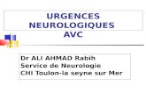 URGENCES NEUROLOGIQUES AVC Dr ALI AHMAD Rabih Service de Neurologie CHI Toulon-la seyne sur Mer.