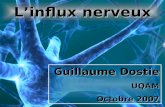 Guillaume Dostie FPE 7650 1 Linflux nerveux Guillaume Dostie UQAM Octobre 2007.