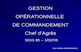 GESTION OP É RATIONNELLE DE COMMANDEMENT Chef dAgrès SDIS 85 – 1/02/06 Cne Patricia BERNARDEAU.