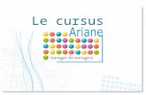 Le cursus. Sommaire Ariane Un dispositif repensé : pourquoi ? Les moyens pour réussir Une organisation nationale et en proximité Un challenge en 3D Une.