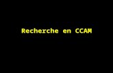 Recherche en CCAM. Pour retrouver le code d'un acte CCAM clic sur la petite ampoule à droite du champ code CCAM.
