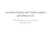 La transmission de linformation génétique (2) Transmission au cours de la reproduction