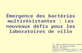 Émergence des bactéries multirésistantes : Les nouveaux défis pour les laboratoires de ville Pr. Marie-Hélène Nicolas-Chanoine Service de Microbiologie.