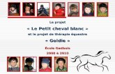 Le projet « Le Petit cheval blanc » et le projet de thérapie équestre « Goldie » École Gadbois 2008 à 2010.