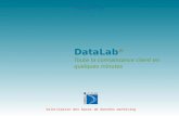 Valorisation des bases de données marketing DataLab ® Toute la connaissance client en quelques minutes Septembre 2008.