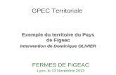 GPEC Territoriale Exemple du territoire du Pays de Figeac Intervention de Dominique OLIVIER FERMES DE FIGEAC Lyon, le 13 Novembre 2013.
