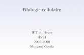 Biologie cellulaire IUT du Havre HSE1 2007-2008 Morgane Gorria.