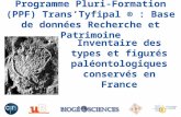 Programme Pluri-Formation (PPF) TransTyfipal ® : Base de données Recherche et Patrimoine Chauvelicystis spinosa Ubaghs, 1969 Inventaire des types et figurés.