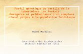 Profil génétique du bacille de la tuberculose en Tunisie: Émergence et prédominance dun complexe clonal propre à la population Tunisienne Par Helmi Mardassi.