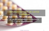Environnement et santé humaine Le cas des perturbateurs endocriniens et du méthylmercure Collège Lionel-Groulx1.