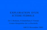 EXPLORATION DUN ICTERE FEBRILE Dr C Brehant, P.Dudeffant,V.Verrier Centre Hospitalier de La Rochelle ARCO Novembre 2005