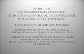 MODULE II ENLÈVEMENT INTERNATIONAL DENFANTS : LE RÔLE DE LA CONFÉRENCE DE LA HAYE ET DE LINCADAT FRANCISCO JAVIER FORCADA MIRANDA REPRÉSENTANT DE LESPAGNE.