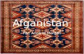 Afganistan Par: Anna et Morgan. Esperance de vie: 44.5 hommes, 44 femmes 100 000 naissance, 1 600 mourir Plus que un demi des enfants sous l'âge de 5.