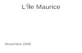 LÎle Maurice Novembre 2008. Le symbole de lîle : le flamboyant.