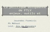 La politique européenne de FTLV enjeux, outils et conséquences Journées Formiris Ph Méhaut Lest, Aix en Provence.