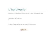 L'herbivorie Jérôme Mathieu  Module LV 396 Fonctionnement des écosystèmes.
