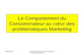 BSMR-2007Psychosociologie du comportement du consommateur - Le Comportement du Consommateur au c“ur des probl©matiques Marketing