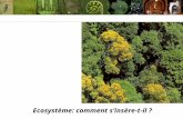Ecosystème: comment sinsère-t-il ?. Léconomie, similaire à un écosystème Métabolisme de lUnion Européenne à 15 (1997). Source: European Topic Center on.