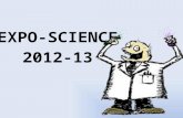 EXPO-SCIENCE 2012-13. TYPE DEXPÉRIENCE Lexpérience doit être spécifique et elle est basée sur la démarche scientifique. Elle contient une question, une.