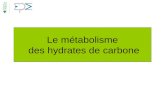 Le métabolisme des hydrates de carbone. Les sucres simples Glucose Fructose Galactose.