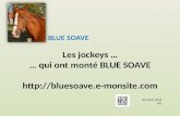 Les jockeys … … qui ont monté BLUE SOAVE  BLUE SOAVE NP Mars 2014 v01.