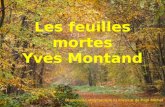 Les feuilles mortes Yves Montand Diaporama automatique et musical de Papi Michel.