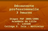1 Découverte professionnelle 3 heures Stages PAF 2005/2006 Académie de Lille C. LASSON Collège E. Zola - Wattrelos.