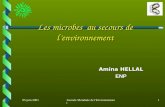 05 juin 2001Journée Mondiale de l'Environnement 1 Les microbes au secours de lenvironnement Amina HELLAL ENP.