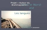 Vers le Nord-est Projet « Autour du Brahmapoutre » F. Jacquesson Les langues.