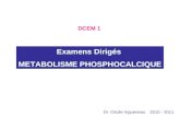 Examens Dirigés METABOLISME PHOSPHOCALCIQUE 2010 - 2011 DCEM 1 Dr. Cécile Ingueneau.