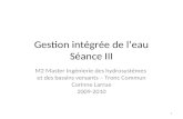 Gestion intégrée de leau Séance III M2 Master Ingénierie des hydrosystèmes et des bassins versants – Tronc Commun Corinne Larrue 2009-2010 1.