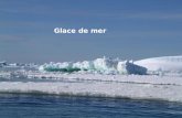 Glace de mer. En Arctique: varie de 7 à 15 millions de km² En Antarctique de 1 à 18 millions de km² Très fort albédo donc effet rétroaction positive sur.