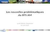 Les nouvelles problématiques du BTS AM Lycée Aliénor dAquitaine 01 avril 2011.