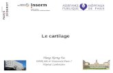 Le cartilage Hang-Korng Ea UMR 606 & Université Paris 7 Hôpital Lariboisière.