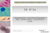 UE: Agents infectieux – Hygiène – Aspects généraux Mise à jour le: ED N°2a Diagnostic bactériologique des infections urinaires ECBU.