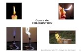 Cours de COMBUSTION Jean-Charles SAUTET – Université de Rouen 1.