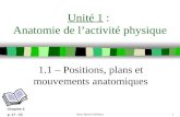 Sport Books Publisher1 Unité 1 : Anatomie de lactivité physique 1.1 – Positions, plans et mouvements anatomiques Chapitre 2 p. 17 - 23.