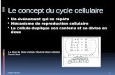 Le concept du cycle cellulaire Un événement qui se répète Mécanisme de reproduction cellulaire La cellule duplique son contenu et se divise en deux Estelle.